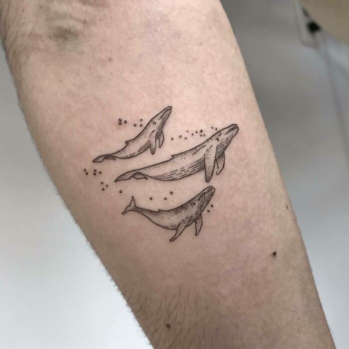 Tattoo of three whales on an arm, illustrating family bonds and unbreakable connections. Tattoo of three whales on an arm, illustrating family bonds and unbreakable connections.