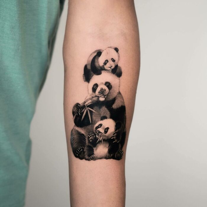 Panda family tattoo on forearm, symbolizing unbreakable family bonds and connection. Panda family tattoo on forearm, symbolizing unbreakable family bonds and connection.