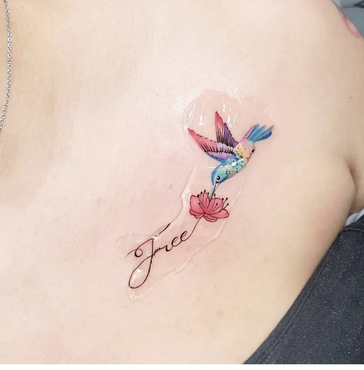 This may contain: a woman with a tattoo on her stomach has a hummingbird flying over the word free