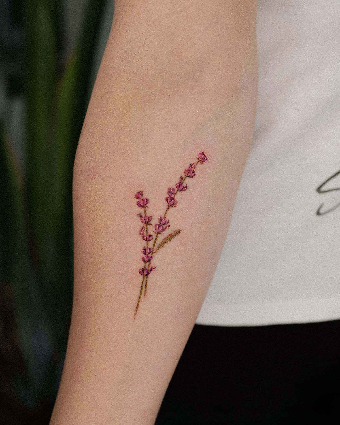 Creative Botanical Tattoo Ideas Celebrating Nature's Beauty